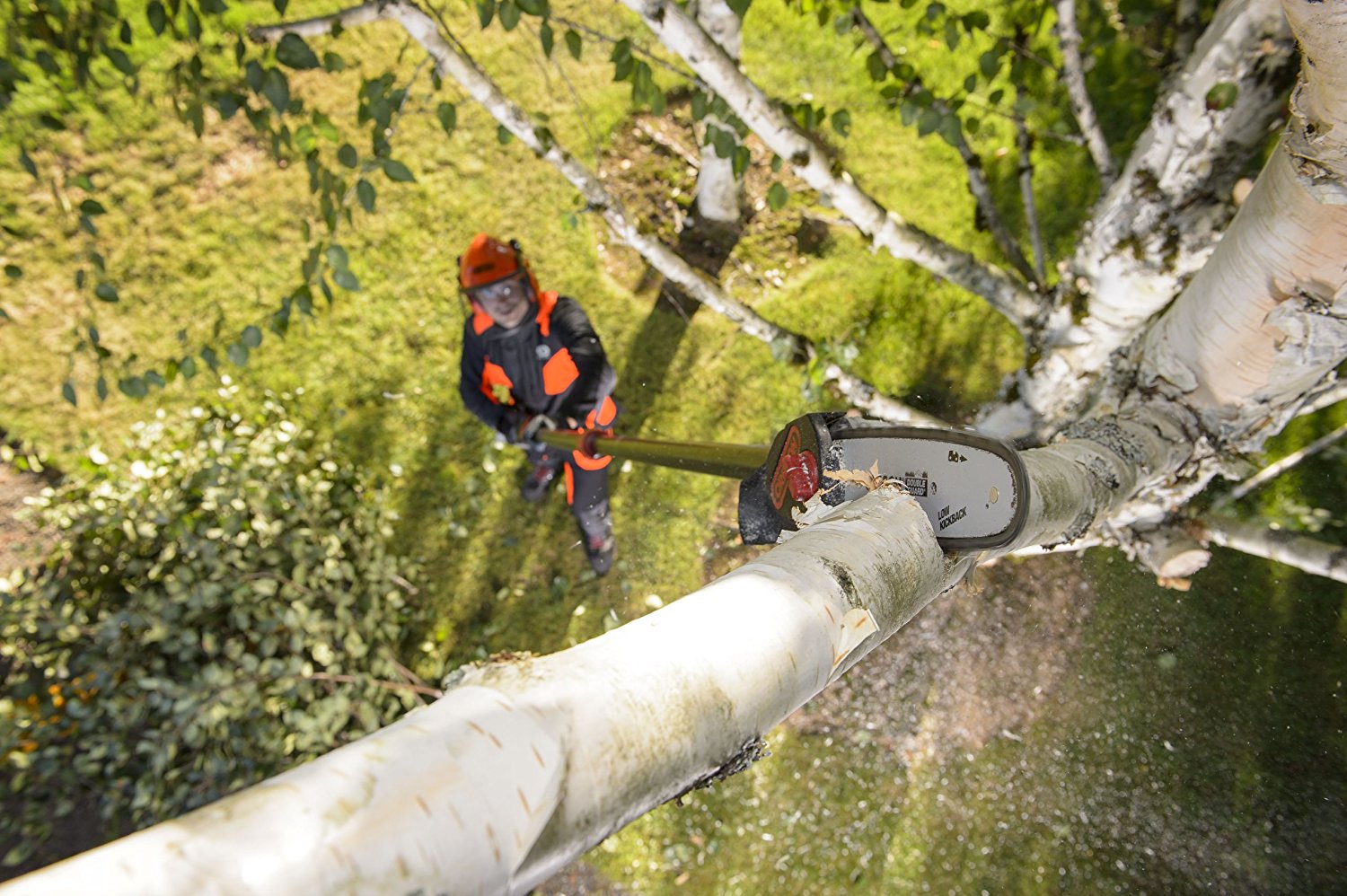 we tested the 10 best pole saws on the market