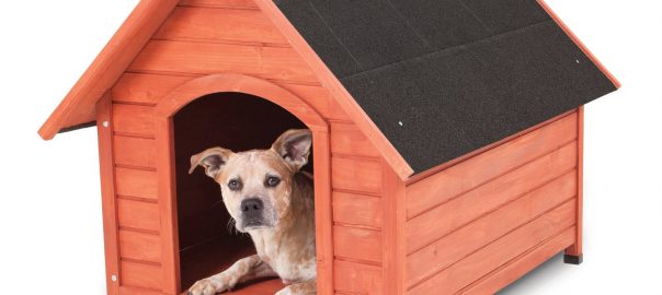 how much does it cost to build an insulated dog house