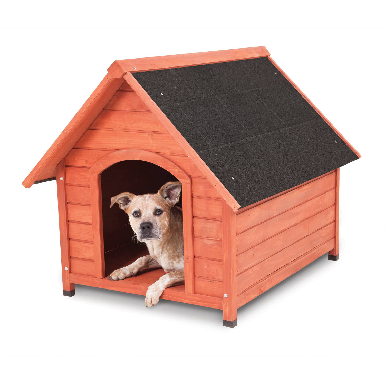  How To Build A Dog House Cost Best Tips EarlyExperts