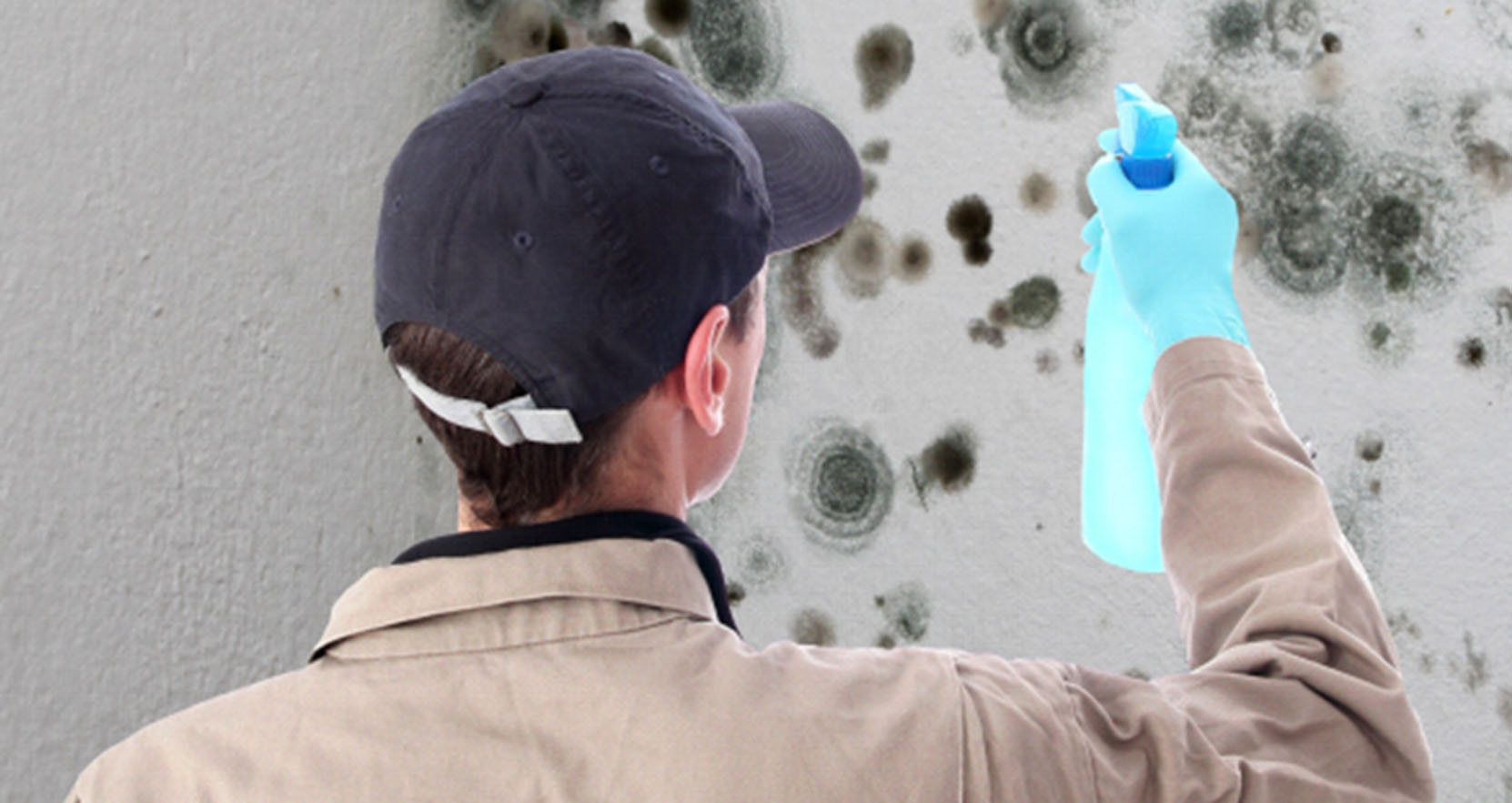 Fort Lauderdale Mold Remediation