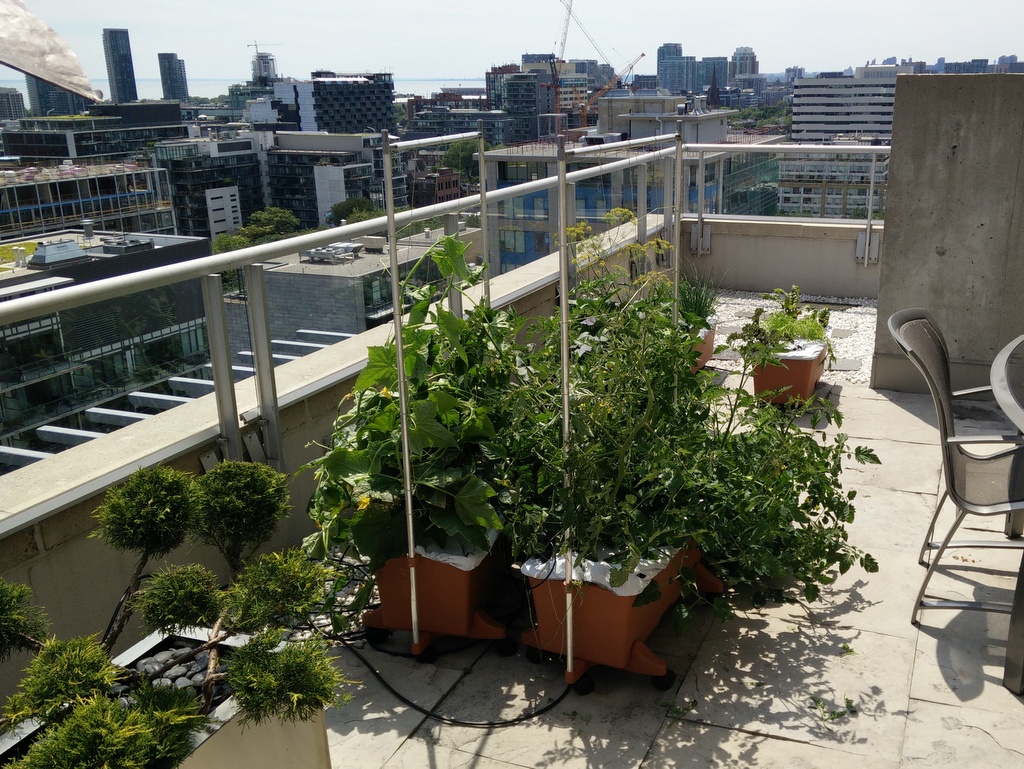 Apartment Gardening Small Space Gardening Tips EarlyExperts