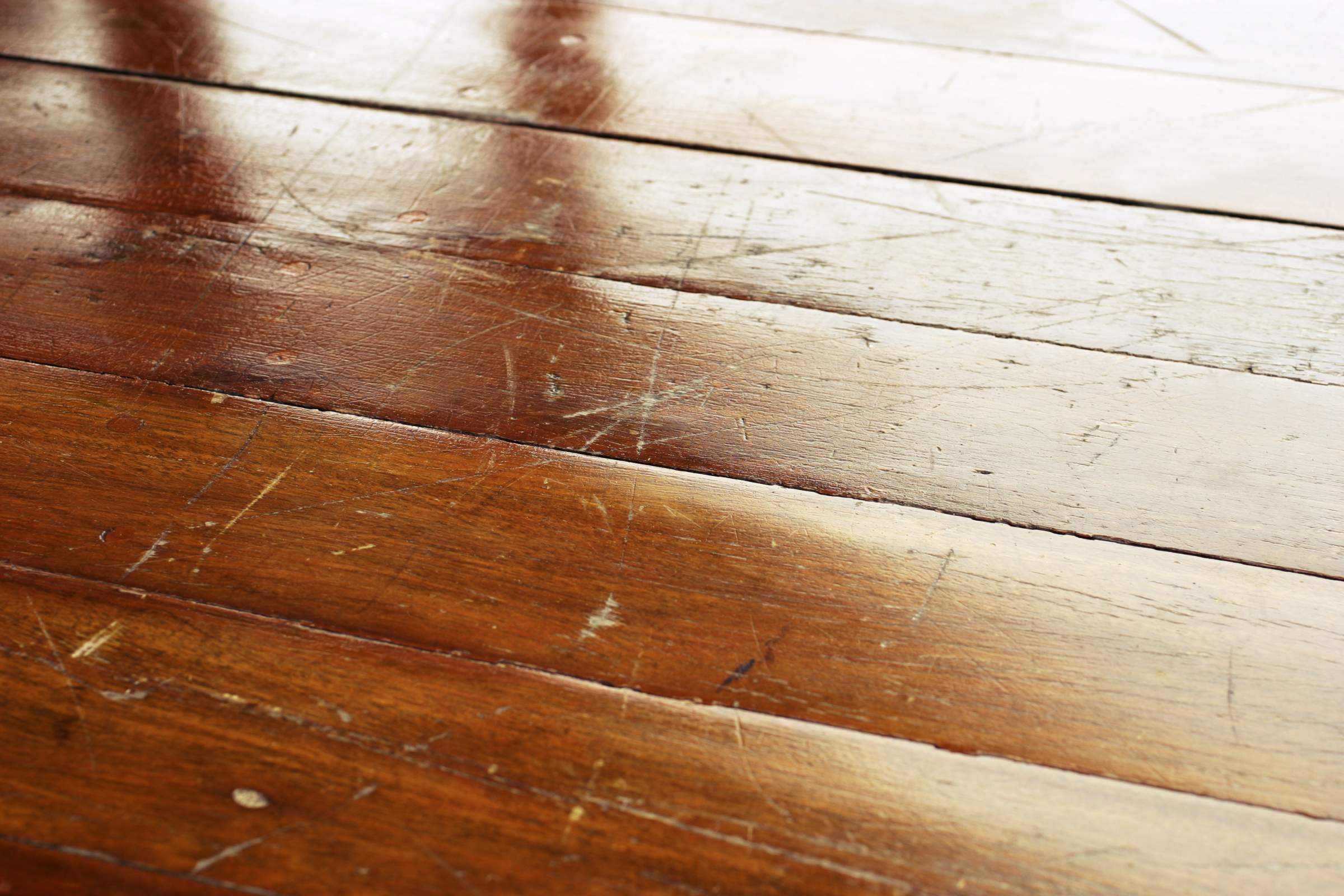 How To Fix Squeaky Floors And Repair Scratches Earlyexperts