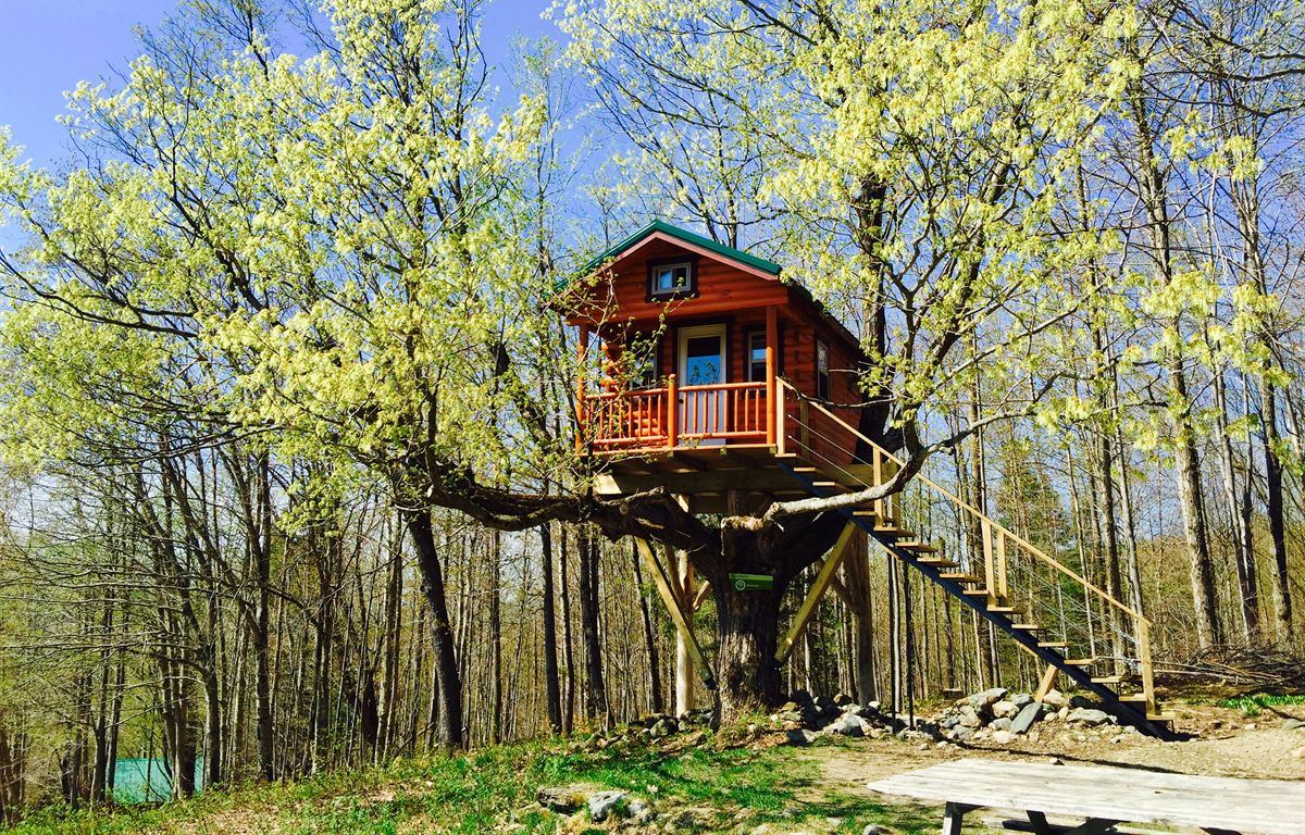 How Much Would It Cost To Build A Treehouse Encycloall