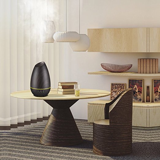 here are the nest oil diffusers!