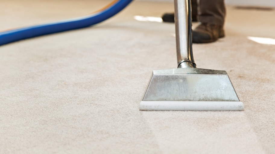 Carpet Dye Guide How To Dye Your Carpet And 5 Best Products To Do It!