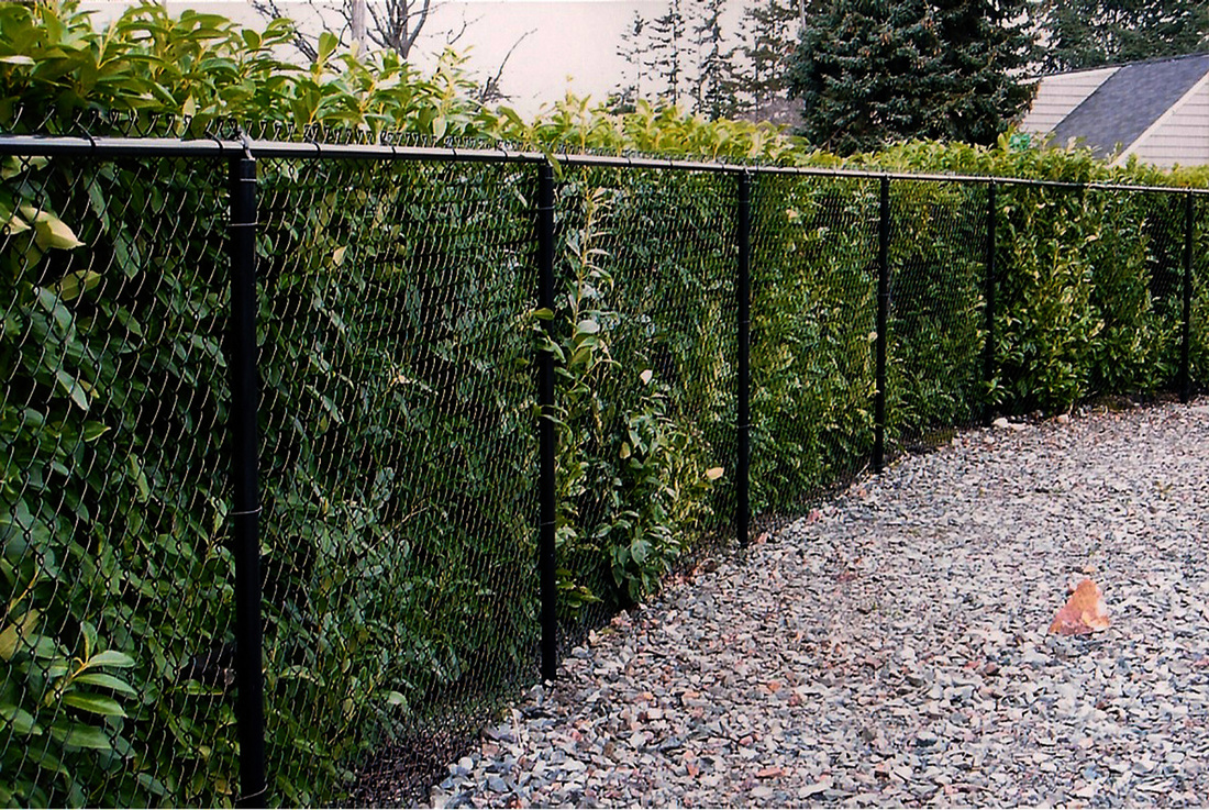 Chain Link Fence Cost & Installation Guide in 2021 | EarlyExperts