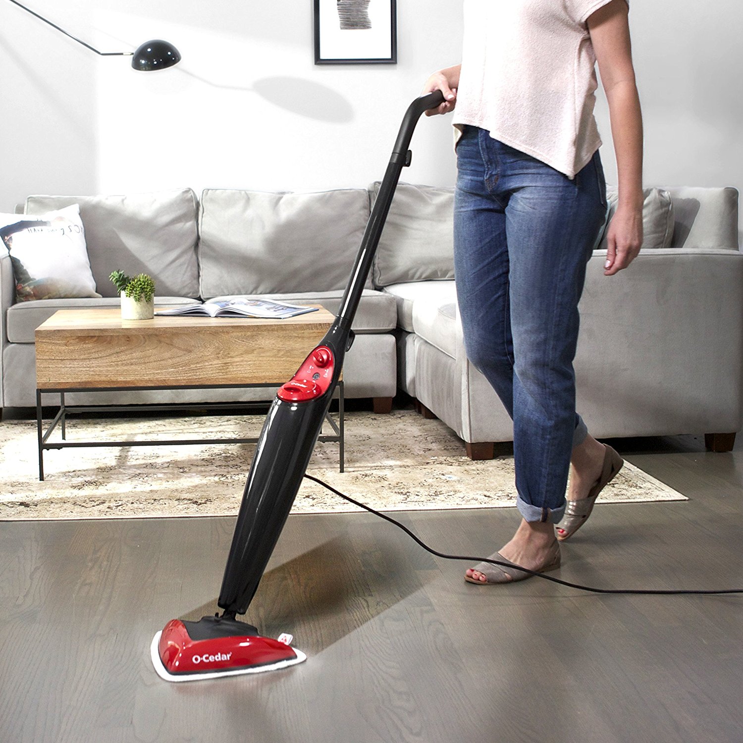 Best Steam Mops Reviews Price Comparison 2020 Earlyexperts