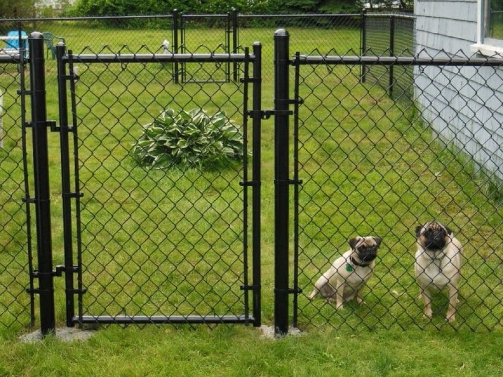 Dog Fence Cost Guide Installation Tips Earlyexperts