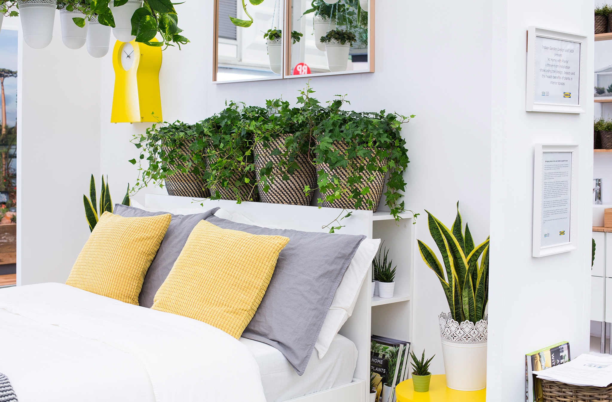 Bedroom Plants That Improve Sleep EarlyExperts