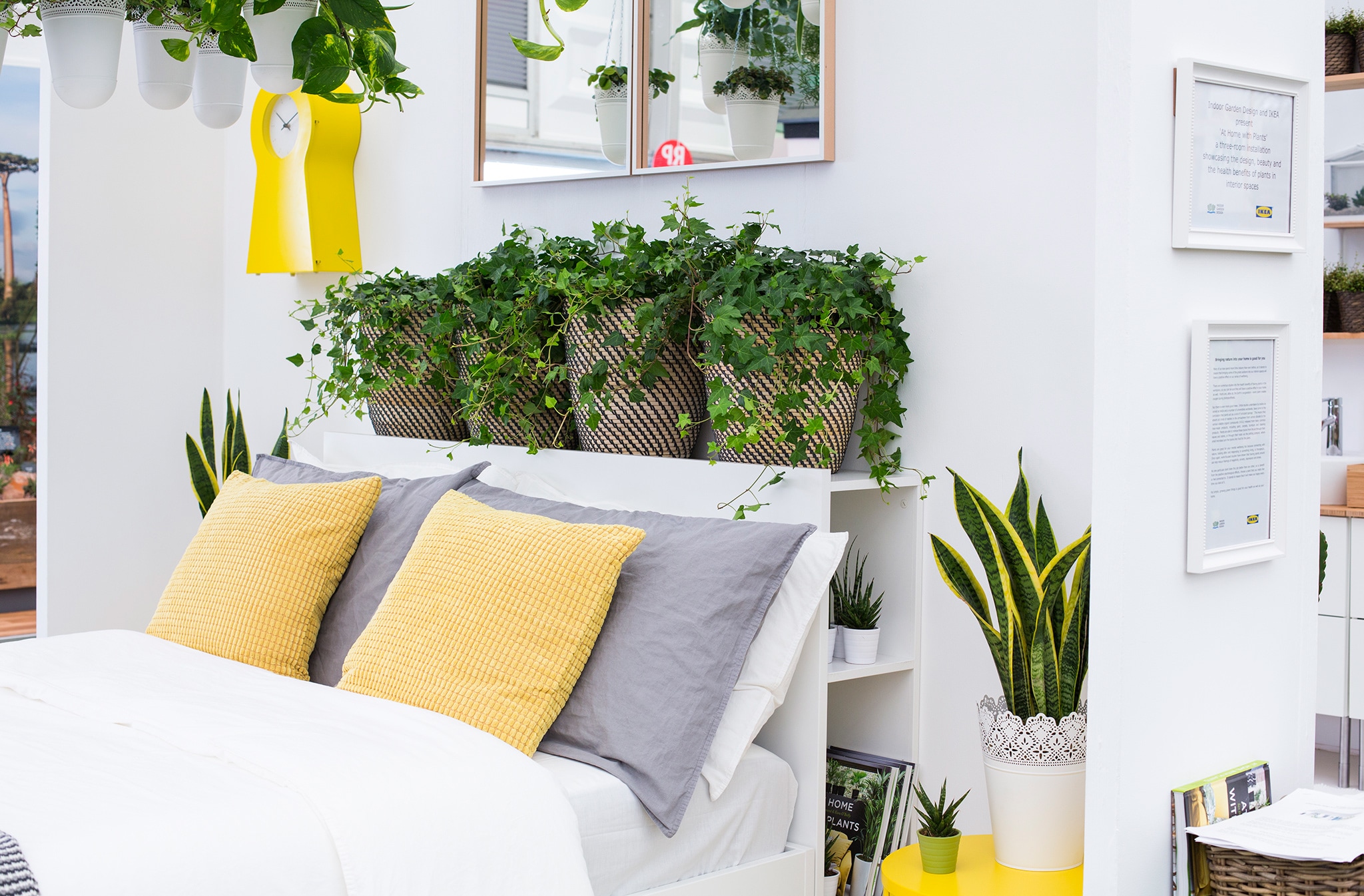 Bedroom Plants Decorating Ideas