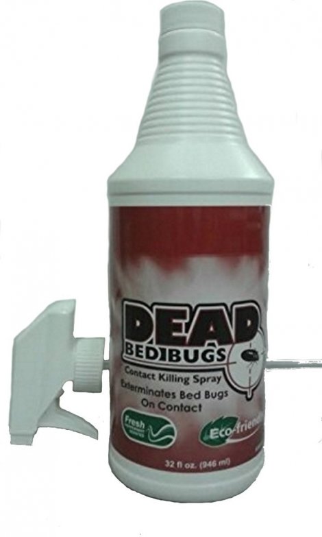 8. Dead Bed Bugs