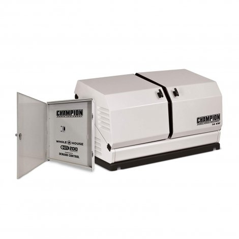 8. Champion Power Equipment 100294
