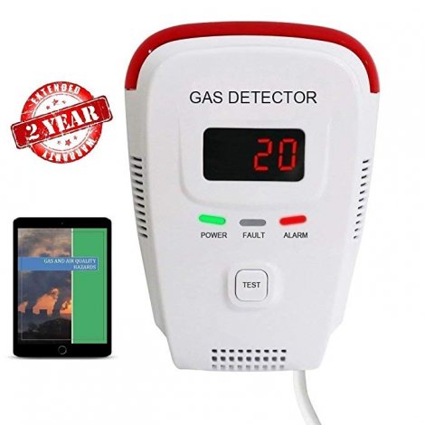 7. EG Air Propane / Natural Gas Detector