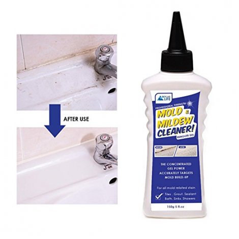 4. Skylarlife Home Mold & Mildew Remover