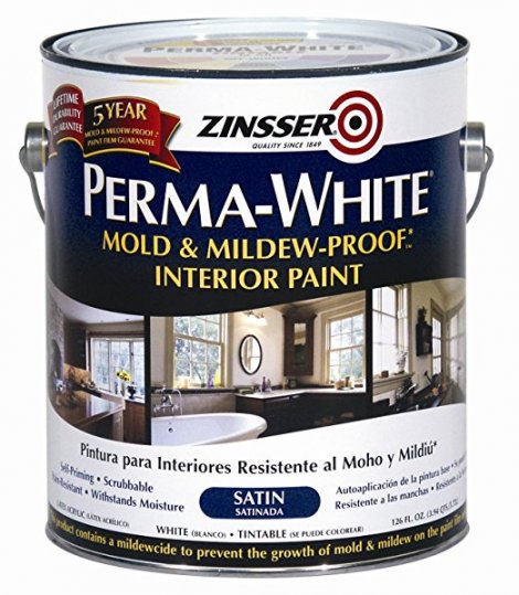 9. Rust-Oleum Corporation 02711 Mold and Mildew-Proof