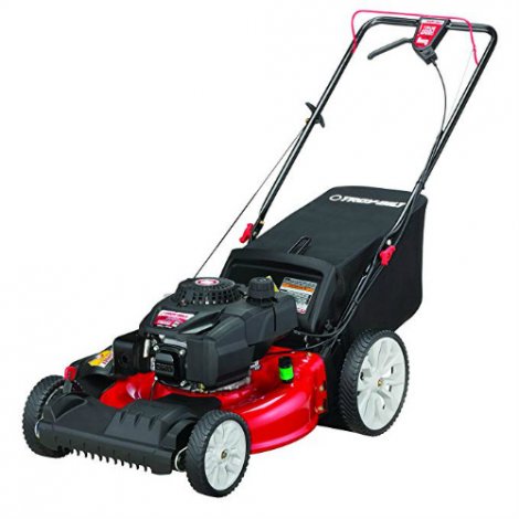 3. Troy-Bilt TB220