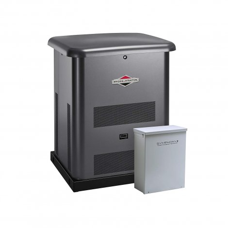10. Briggs & Stratton 40355