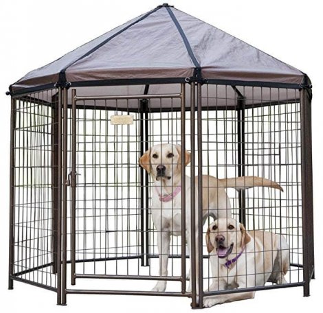 7. Advantek Original Pet Gazebo