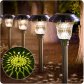 BEAU JARDIN Pathway Solar Lights