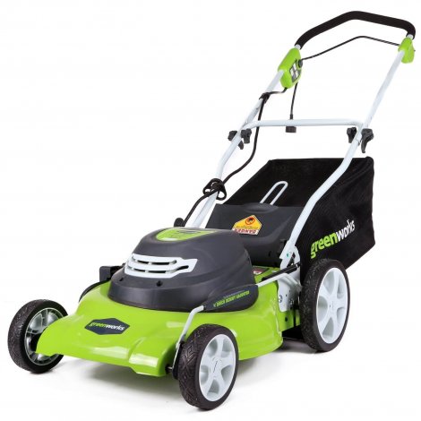 Greenworks 25022