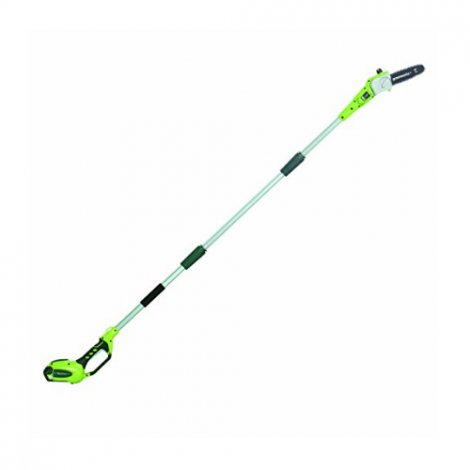 4. GreenWorks 20672