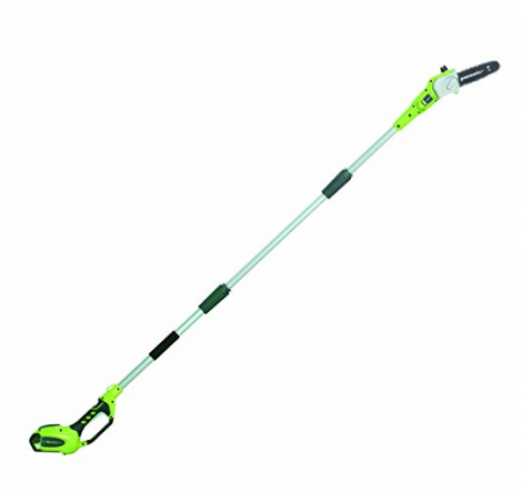 6. GreenWorks 20672