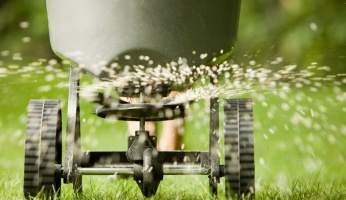 Fertilize Your Lawn