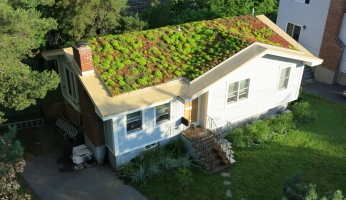 Green Roofing a House
