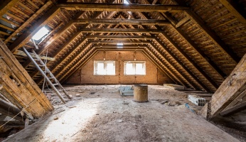 get rid of small animals in attic