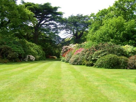 Lawn & Garden Tools