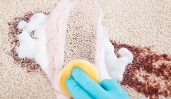 Stain Removal Solutions