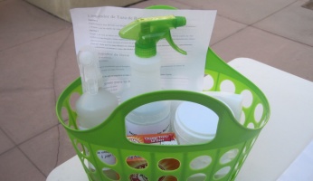 toxic chemicals home