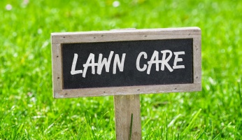 when and how to water your lawn